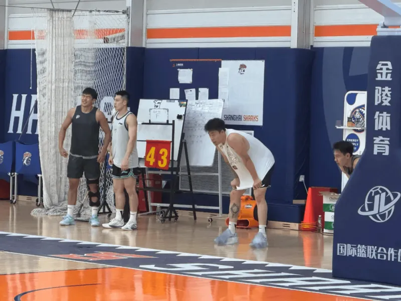 九游电脑版-东体：上海队计划寻找护框大外，将根据NBA合同挑选心仪人选